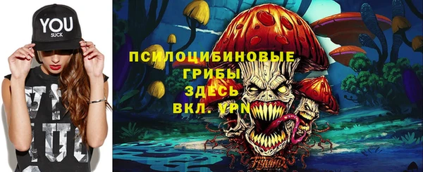 ALPHA PVP Богородицк