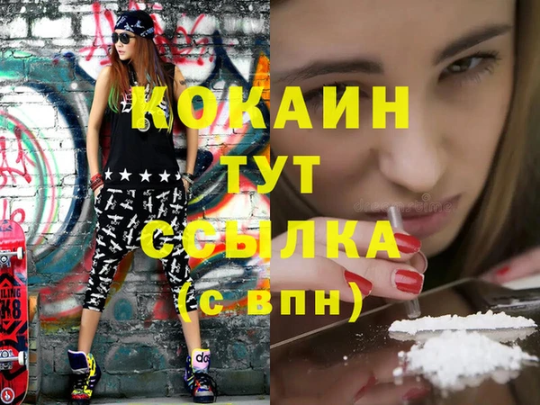 ALPHA PVP Богородицк