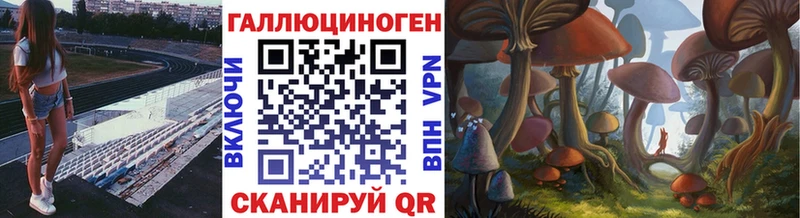 Псилоцибиновые грибы GOLDEN TEACHER Мичуринск